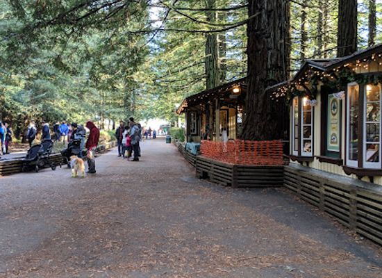 california/berkeley/landmark/tilden-regional-park