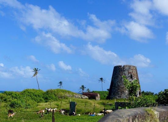 saint-kitts-and-nevis/saint-mary-cayon-parish/landmark/saint-kitts-tourism-authority