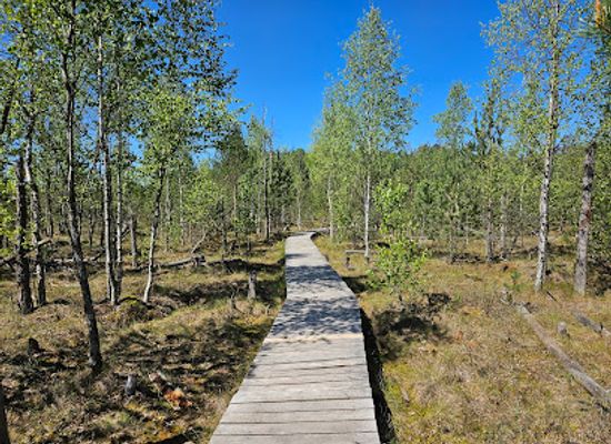 lithuania/kaunas-region/landmark/dubrava-marsh-reserve