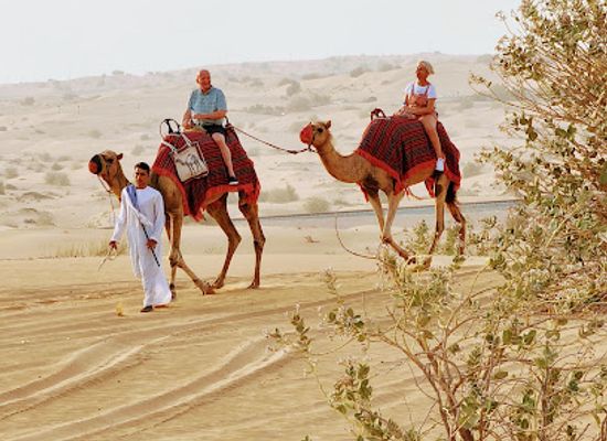 united-arab-emirates/arabian-gulf-coast/landmark/desert-safari-tours-dubai