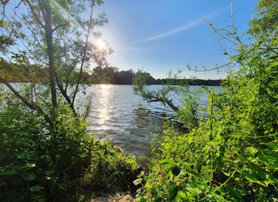 netherlands/ijsselmeer-polders/landmark/wilgenbos-almere-de-vaart