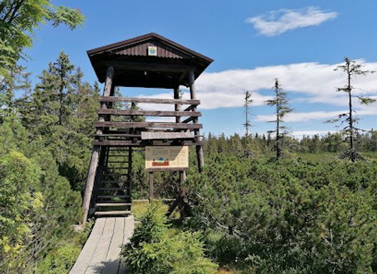 czechia/krkonose-national-park/landmark/cernohorske-raseliniste