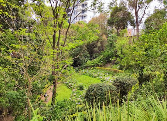 guatemala/guatemala-city/zona-10/landmark/la-joya-de-oakland-park