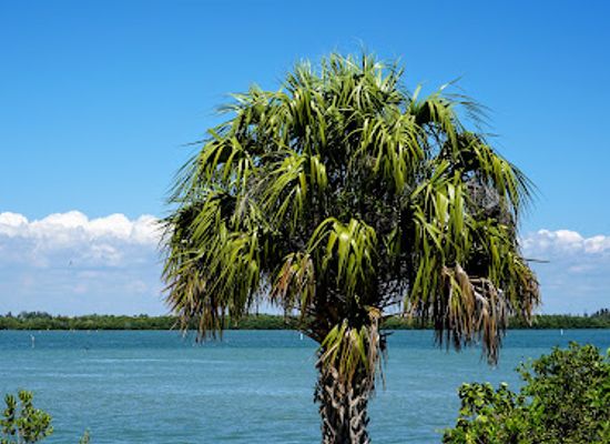 florida/cape-coral/landmark/bowditch-point-park