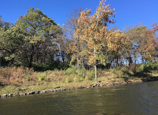 illinois/rock-river-valley/landmark/blackhawk-springs-forest-preserve