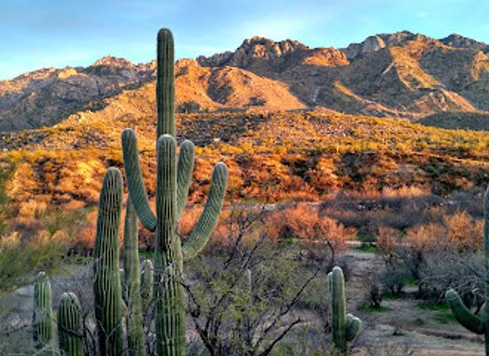 arizona/tucson-mountain-park/landmark/catalina-state-park