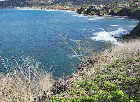 california/san-diego/la-jolla/landmark/sunny-jim-s-sea-cave