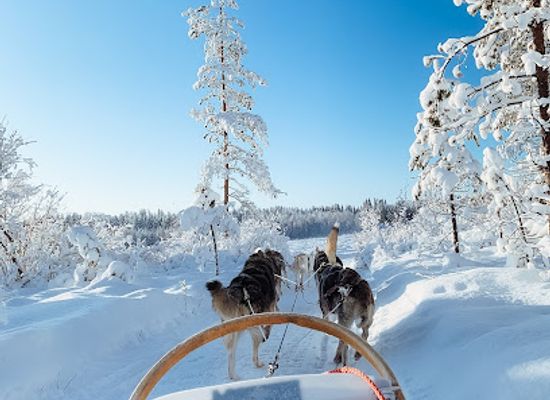 finland/ruka-kuusamo/landmark/era-susi-huskies