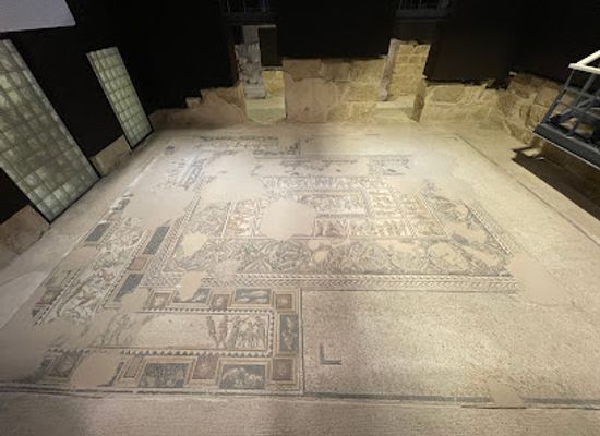 israel/northern-district/landmark/dionysus-house