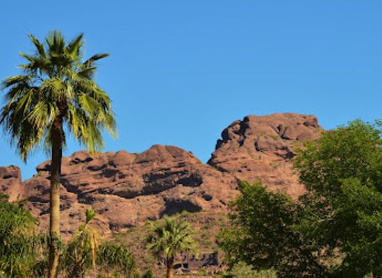 arizona/white-mountains/landmark/david-and-gladys-wright-house