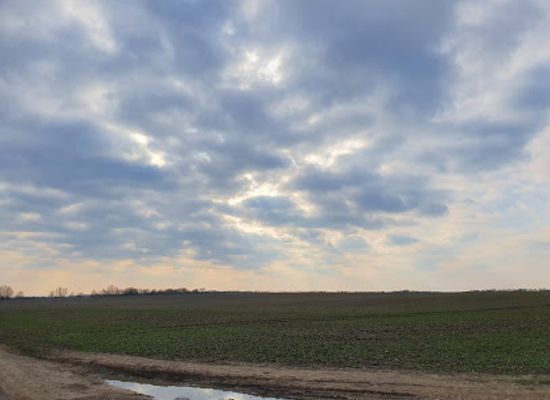 united-kingdom/cambridge/grantchester/attraction/balls-grove