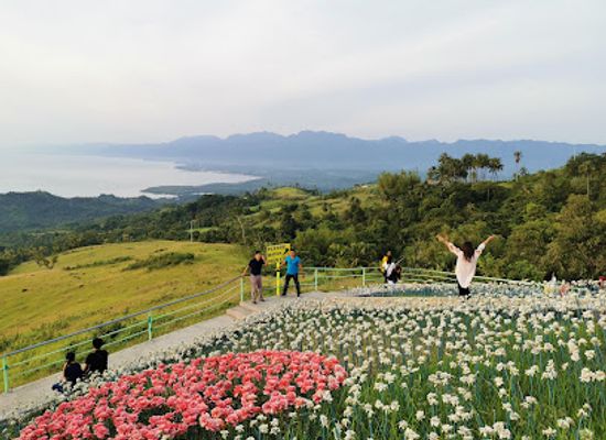 philippines/eastern-visayas/landmark/lintaon-peak