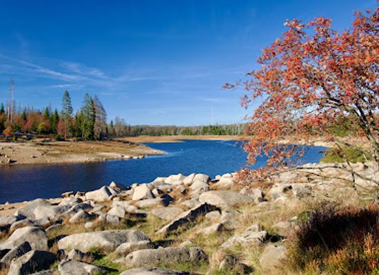 germany/harz-national-park/landmark/oderteich