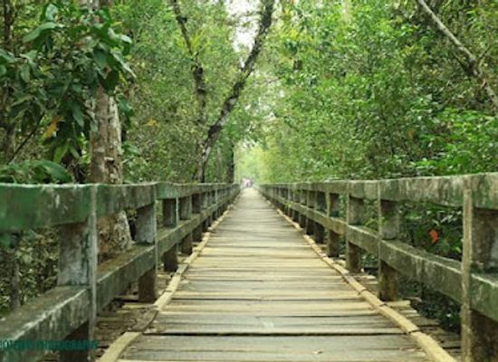 bangladesh/khulna-division/landmark/the-sundarbans-bangladesh