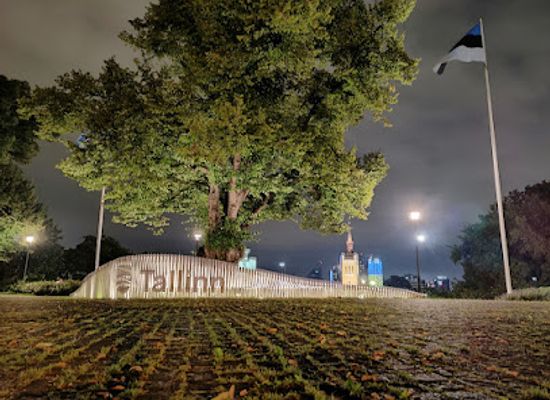 estonia/laane-viru-county/landmark/tallinna-tahis