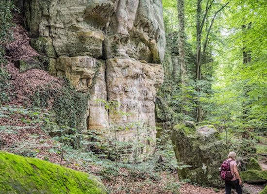 luxembourg/mullerthal-trail/landmark/tourentipp-auto-pedestre-mullerthal-consdorf