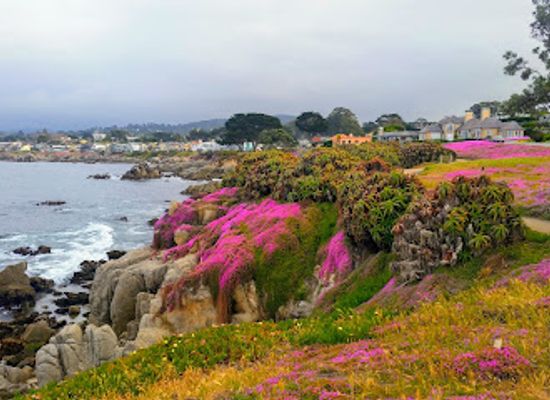 california/big-sur/landmark/john-denver-memorial