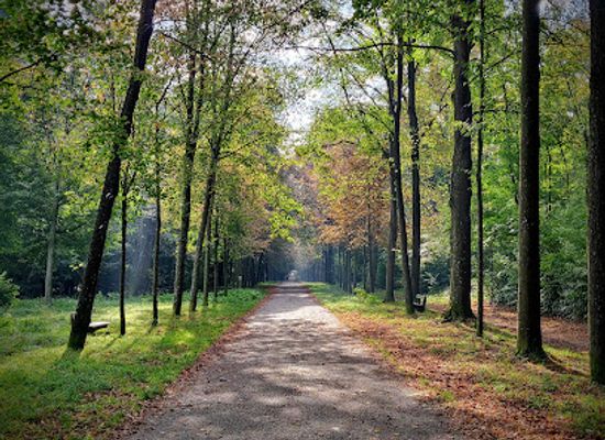 austria/vienna-woods/landmark/schwarzenbergpark