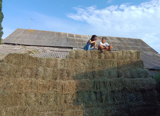 armenia/arpi-lake/landmark/anush-tatiants