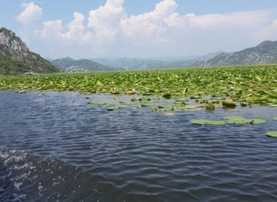 montenegro/lake-skadar/landmark/cruising-on-skadar-lake