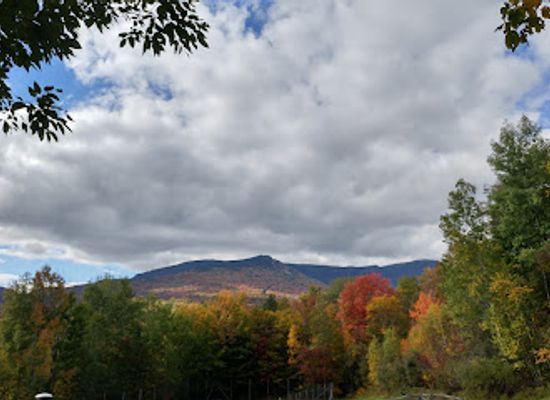 vermont/lamoille-county/landmark/mill-trail