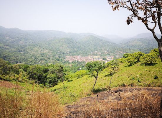 togo/mount-agou-area/landmark/foret-de-missahohoe