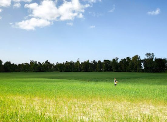 israel/southern-district/landmark/yad-mordehai-forest