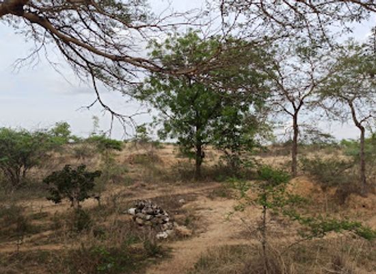 myanmar-burma/bagan/nyaung-u/landmark/anyathiyan-culture-paleolithicsite