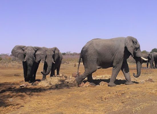 angola/zambezi-basin/landmark/bwabwata-national-park