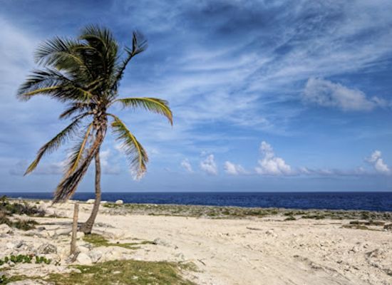 dominican-republic/punta-cana/landmark/punta-cana-tours