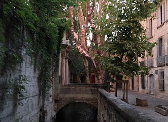 france/avignon/landmark/penitents-gris-d-avignon-chapelle-sainte-croix