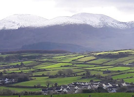 ireland/mourne-mountains/landmark/castlewellan-forest-park