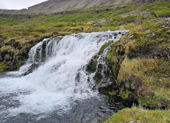 iceland/dynjandi-waterfall/landmark/hrisvaosfoss