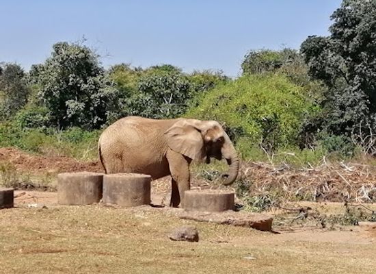 nigeria/south-east/landmark/jos-wildlife-park