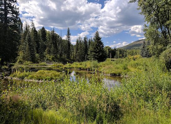 colorado/aspen/landmark/aspen-center-for-environmental-studies