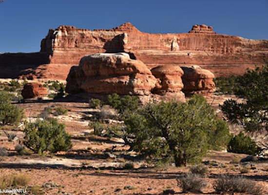 utah/canyonlands/landmark/wooden-shoe-arch