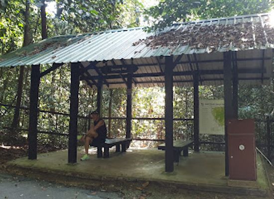 singapore/bukit-batok/landmark/kruing-hut