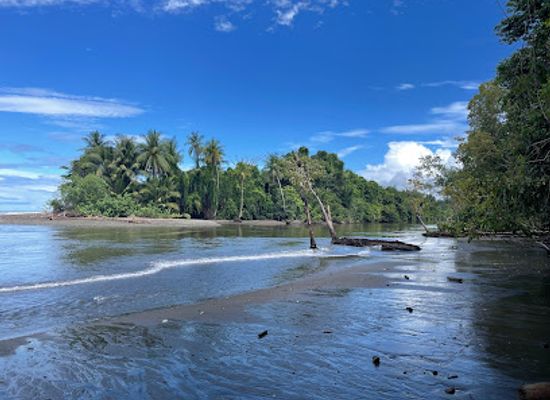 costa-rica/puntarenas/landmark/parque-nacional-corcovado