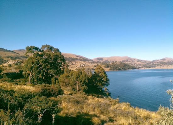 bolivia/lake-titicaca/landmark/suasi-island