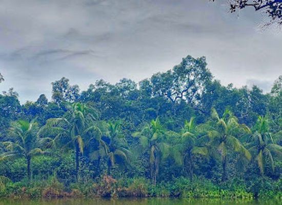 bangladesh/sundarbans/landmark/sundarbans-reserved-forest
