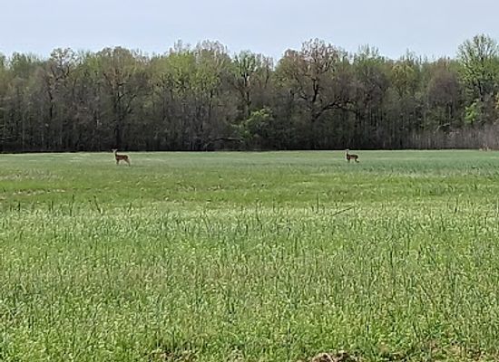illinois/southern-illinois/landmark/kincaid-mounds-state-historic-site