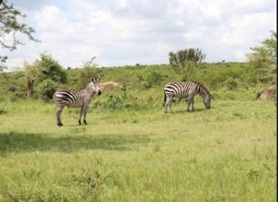 uganda/bukedi/landmark/uganda-tours