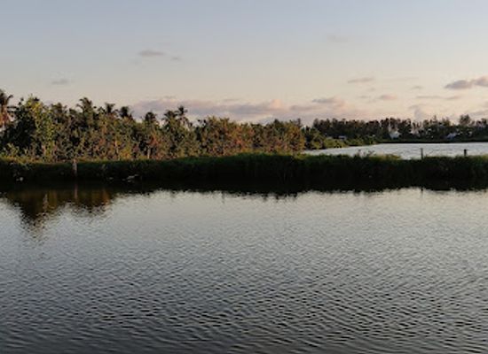 india/kerala-backwaters/landmark/kuzhupilly-beach