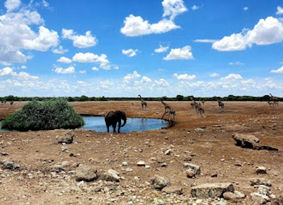 namibia/skeleton-coast/landmark/etosha-national-park