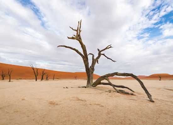 namibia/namib-naukluft-national-park/landmark/sossusvlei