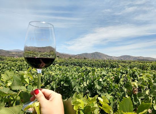 chile/colchagua-valley/landmark/vina-estampa