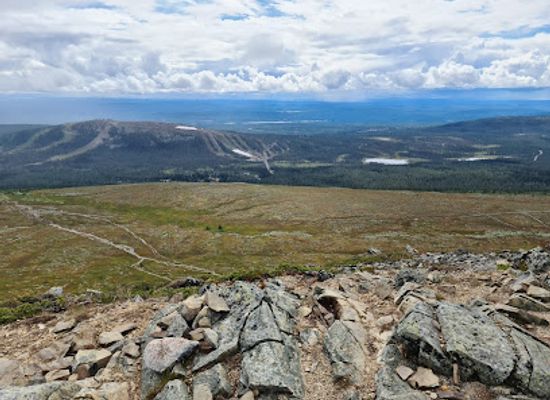 sweden/idre-fjall/attraction/stadjan-nipfjallet-reserve