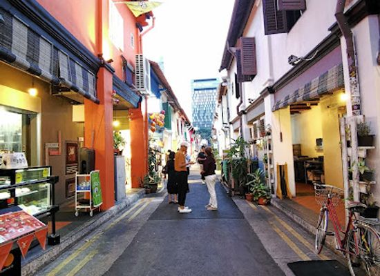 singapore/katong/landmark/elephant-parade-haji-lane