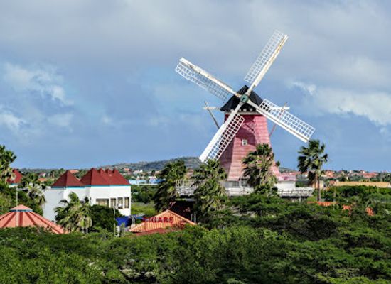 aruba/paradera/landmark/bubali-bird-sanctuary