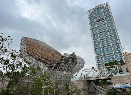 spain/barcelona/barceloneta/landmark/l-estel-ferit